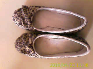 201004231146_095.jpg