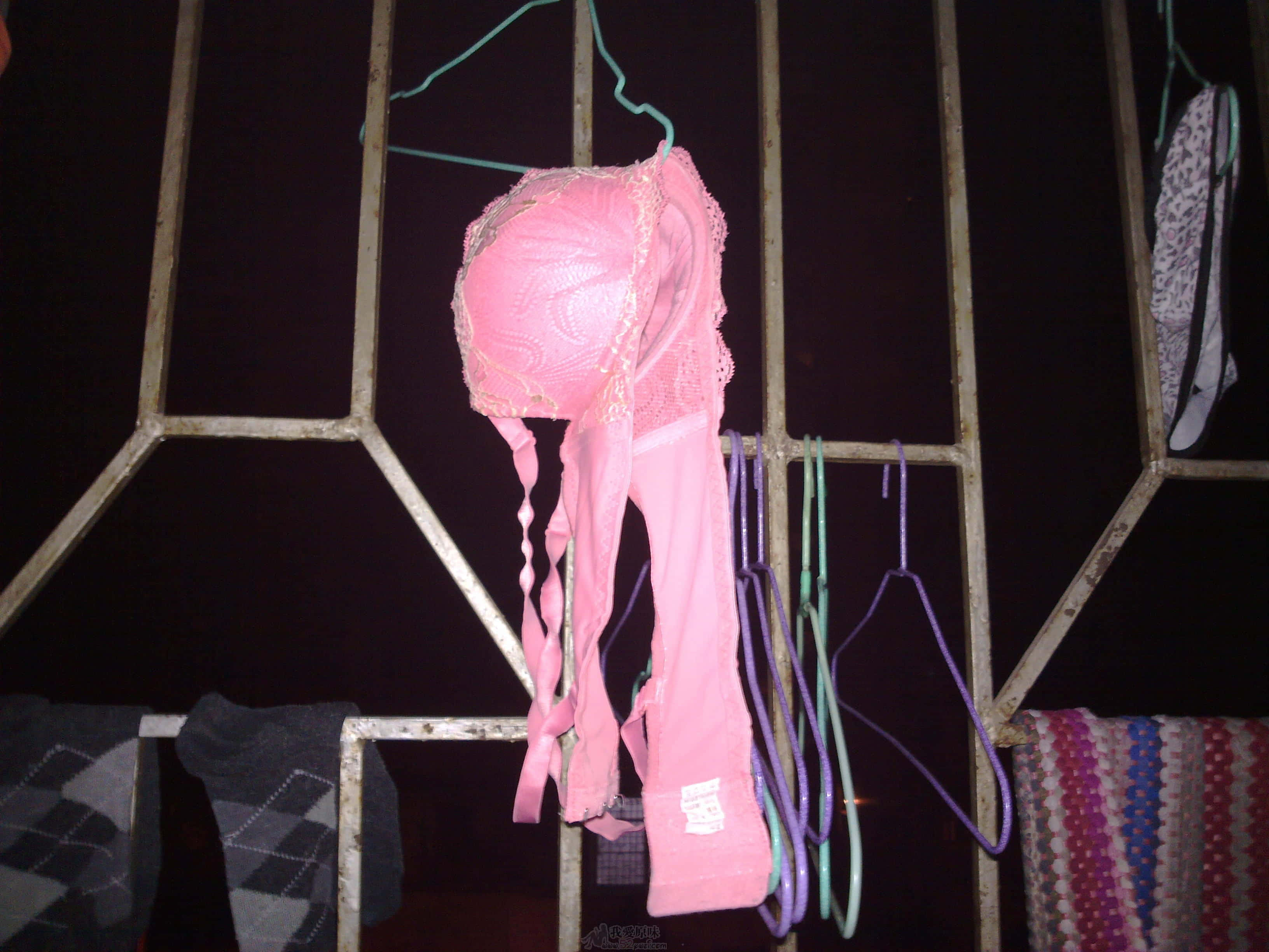 20100112.jpg