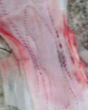 IMG0052A.jpg