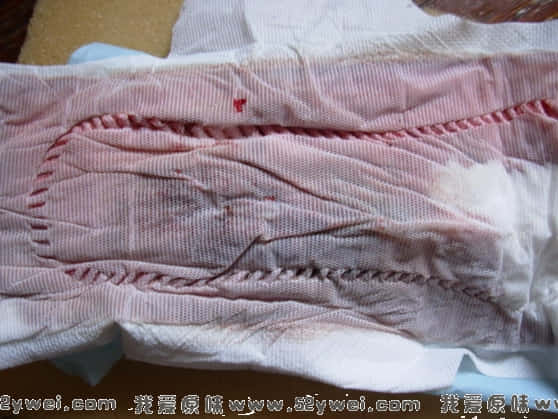 DSCN2681.jpg