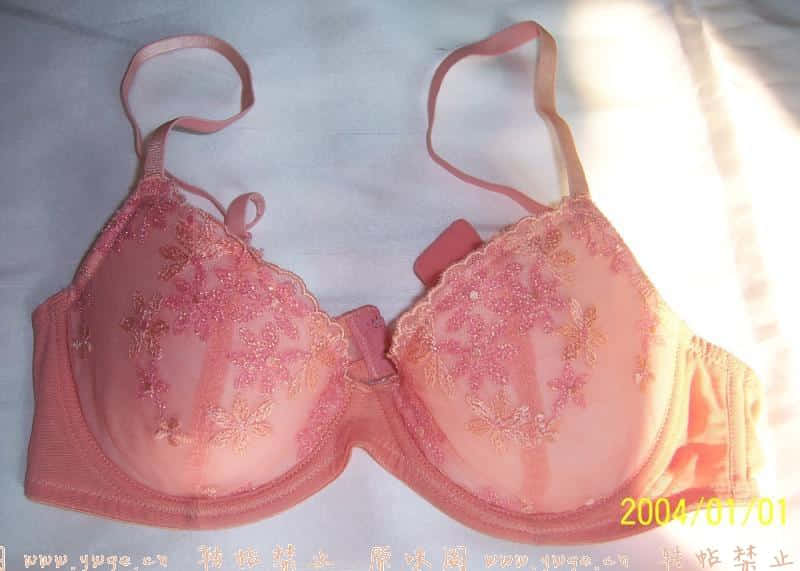 587.jpg