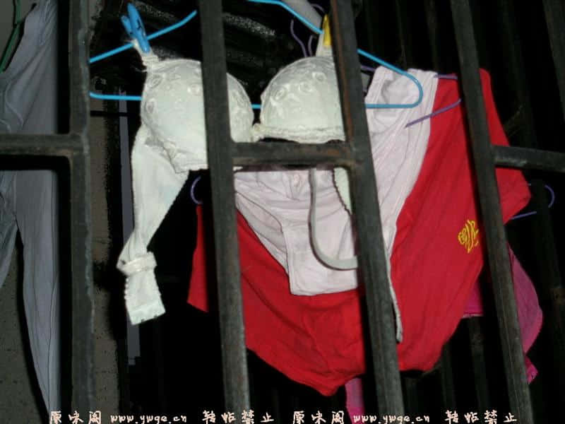 熟女的···