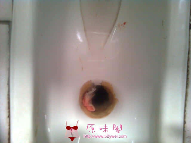 图像0064.jpg