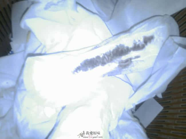 200905040047_158.jpg