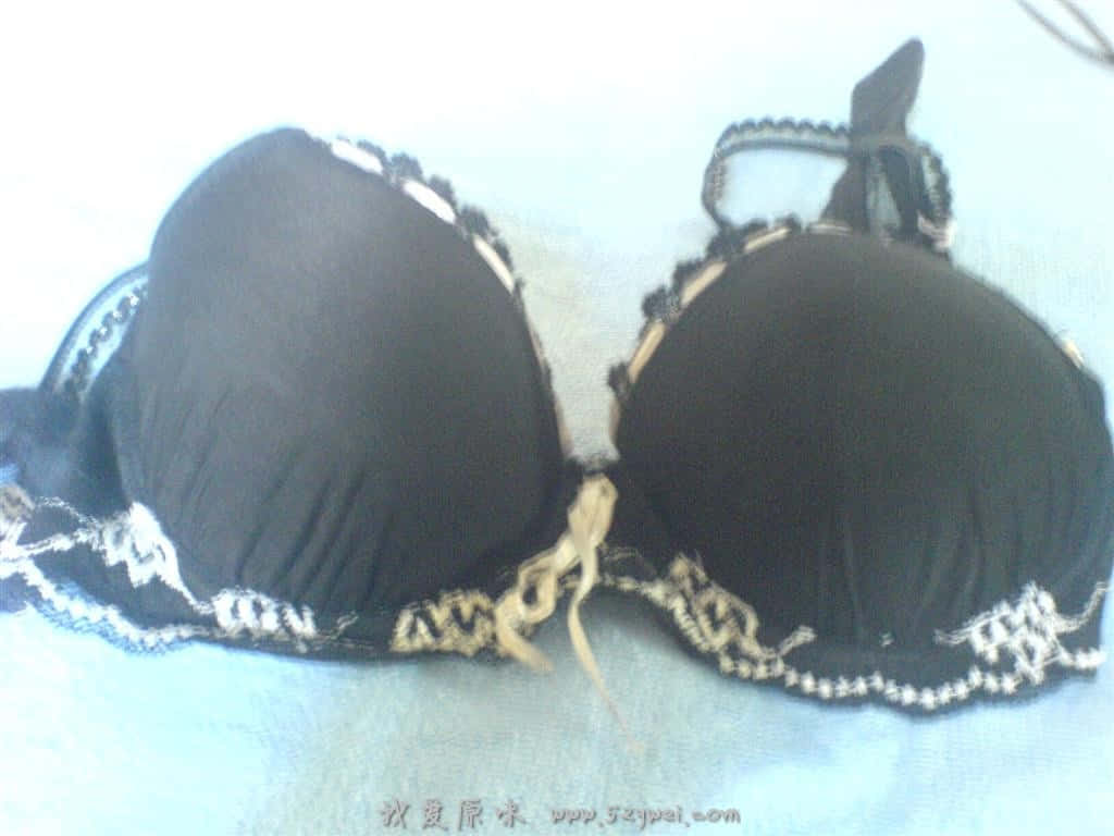 DSC00729.JPG