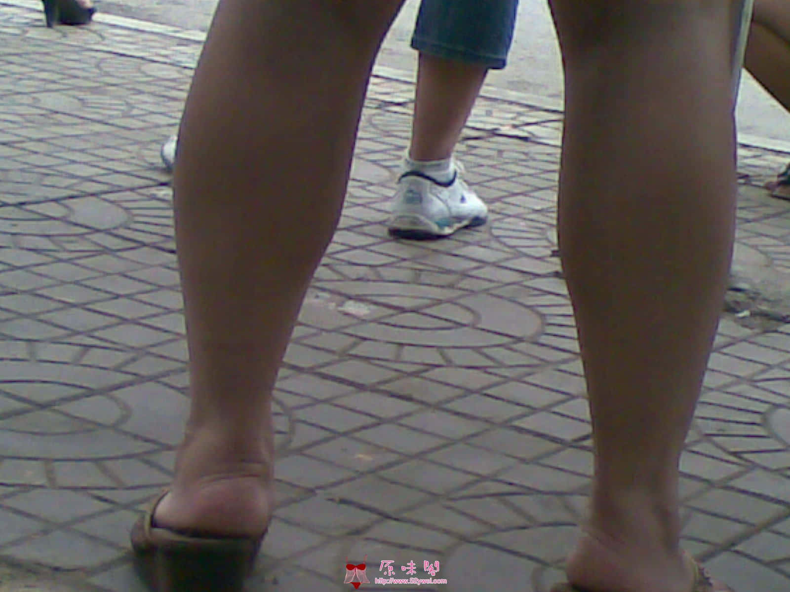 20100809185.jpg
