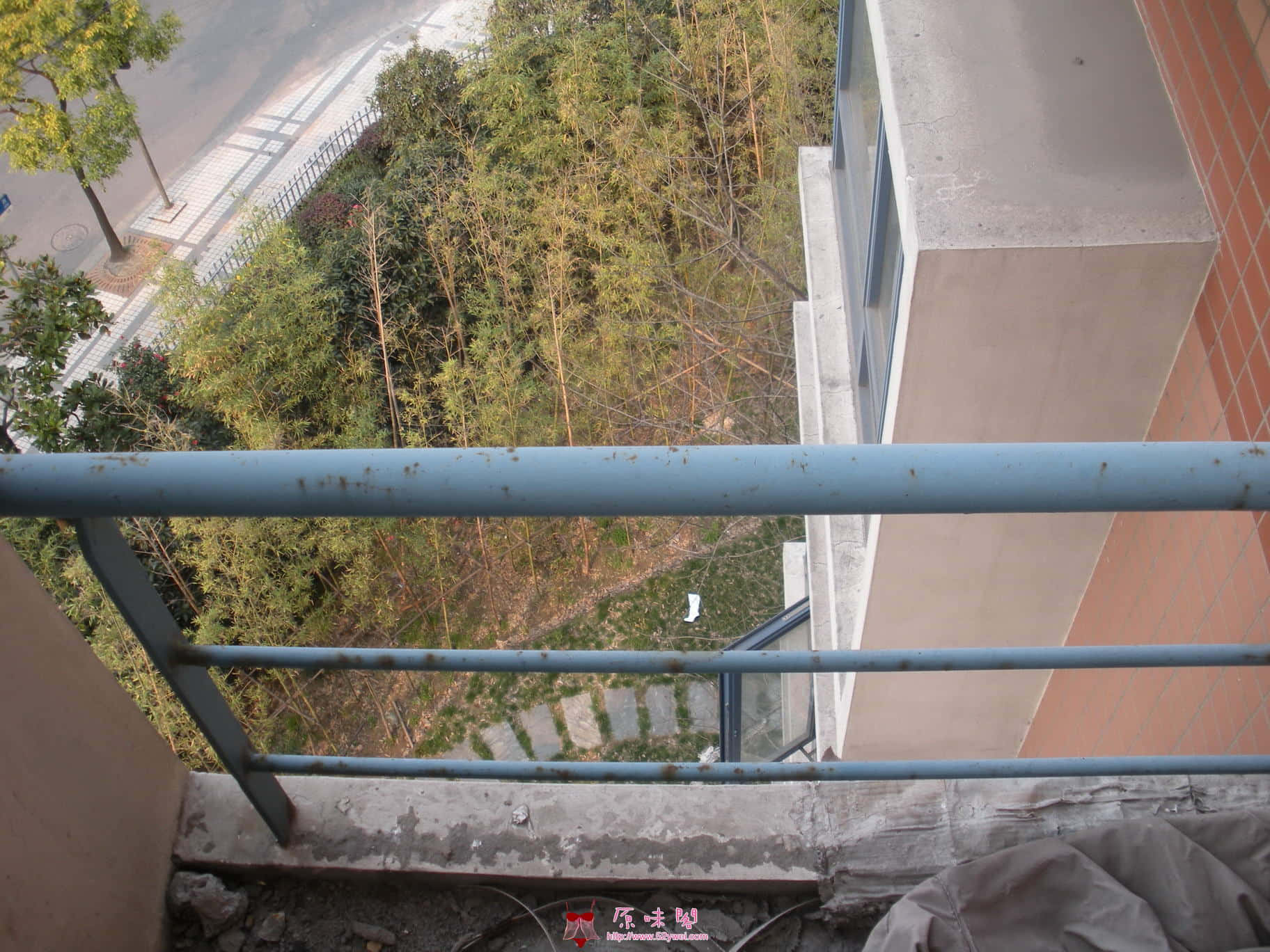 DSCN3082_调整大小.JPG