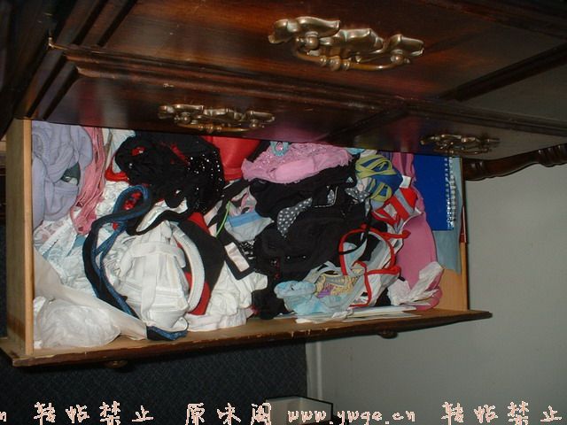 aV1Ylk0r-e4f57e03bf1d88ad1c99fa4e983a2a9d.jpg