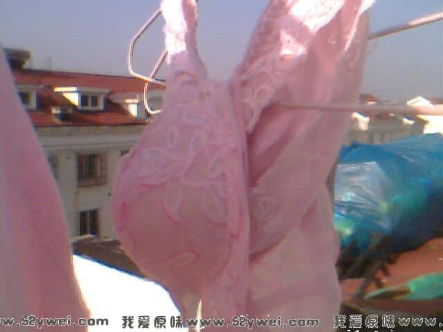 IMG0542A.jpg