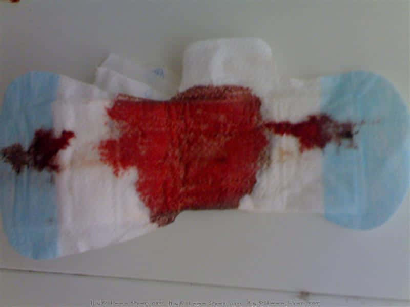 20080605426.jpg