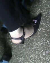 IMG0063A.jpg