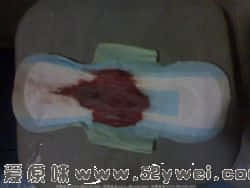 2008443999_middle.jpg