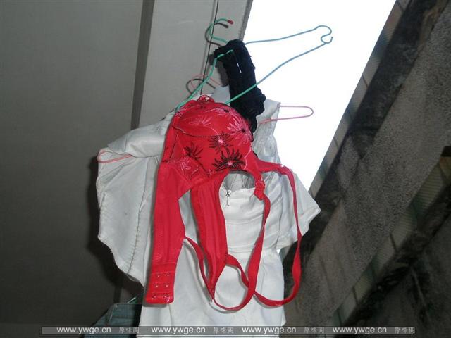 PA042078_调整大小.JPG