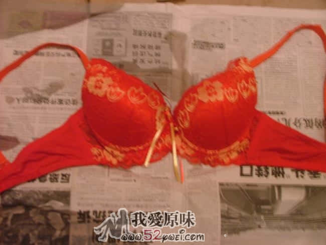 红Z 试帖