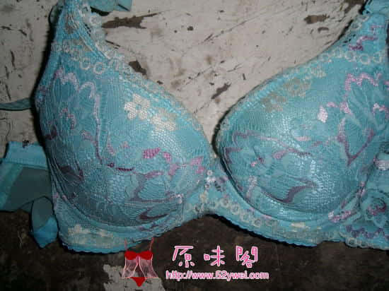 SDC11004_缩小大小.JPG