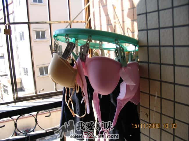 005.JPG