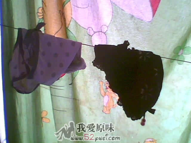 IMG2723A.jpg