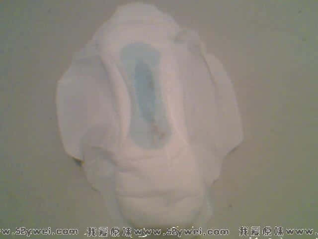 IMG0327A.jpg