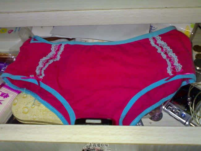 20081121132.jpg