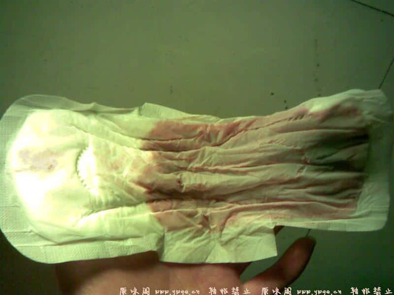 20071129(006).jpg