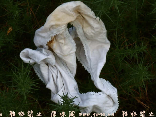 e1.jpg