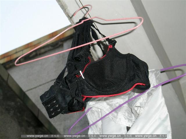 PA062096_调整大小_调整大小.JPG