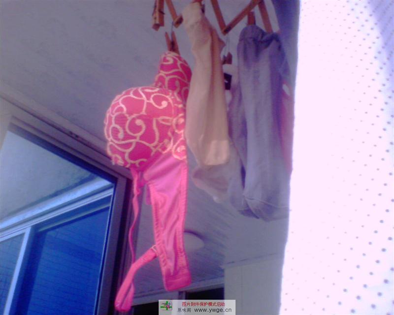IMG0189A.jpg
