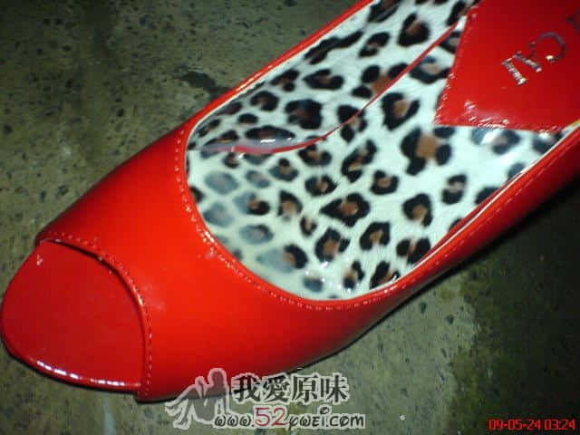 20090524_85de5d601d7ae1ed9ed3YGl1ZM9hi0Aa.jpg