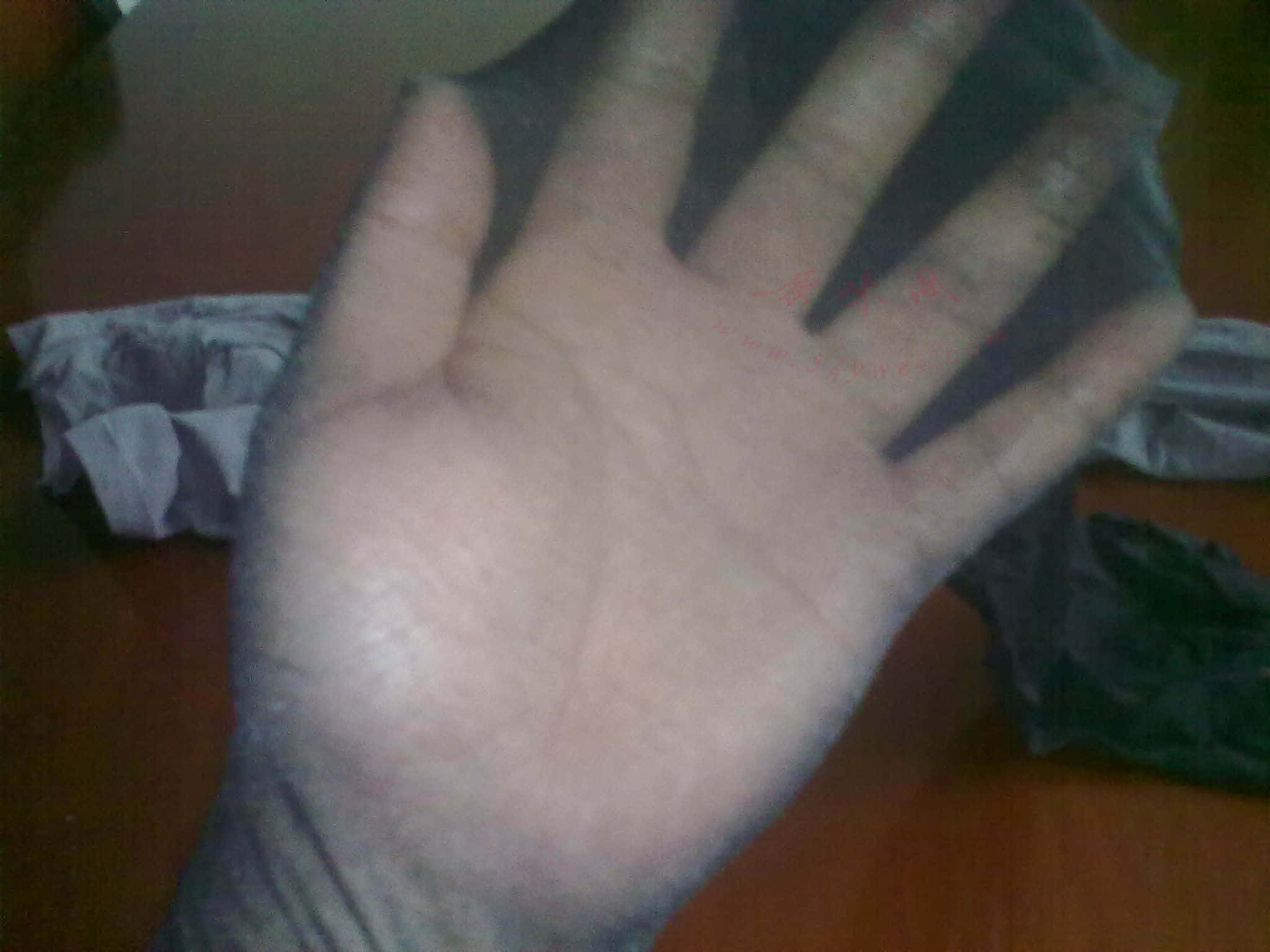 20130417764.jpg