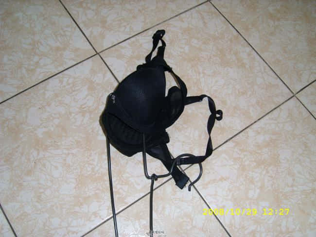 SL272139.JPG