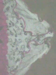 IMG0020A.jpg