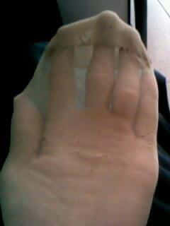 IMG0359A.jpg