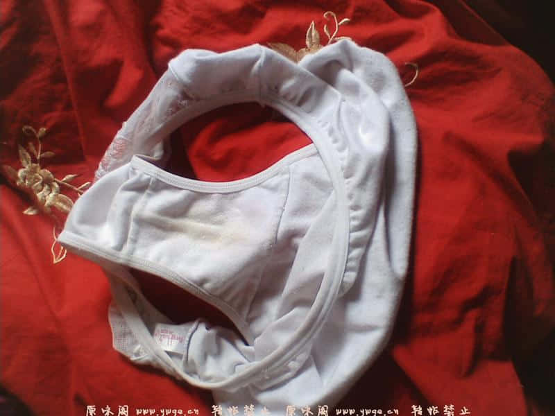 老婆的贡献给大家