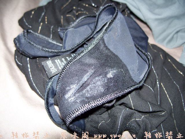 hornyknickers8.jpg