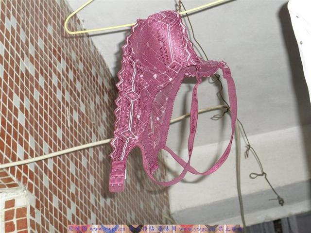 PA242242_调整大小_调整大小.JPG