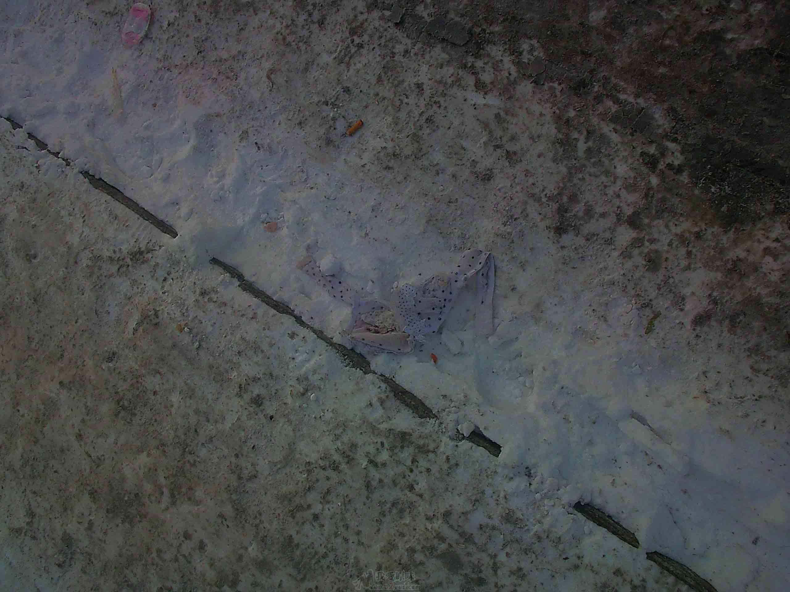 20100103.jpg