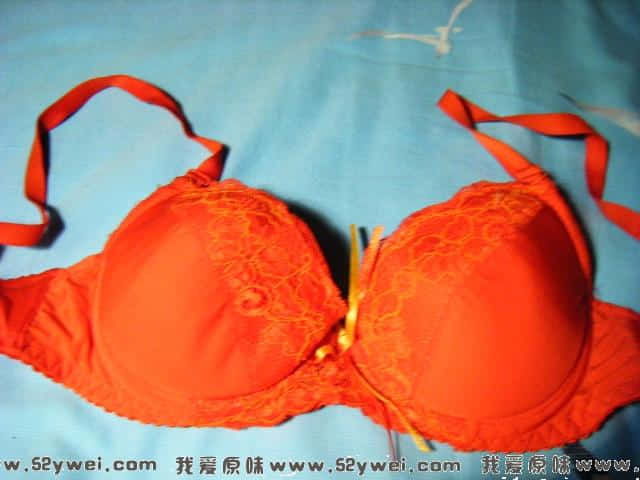 DSCF0021.JPG