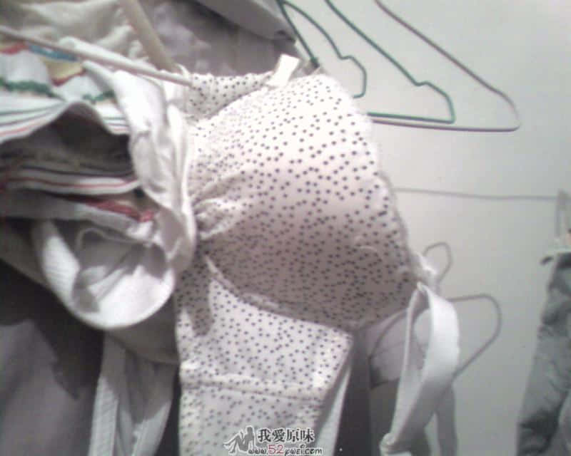 SP_A0760.jpg