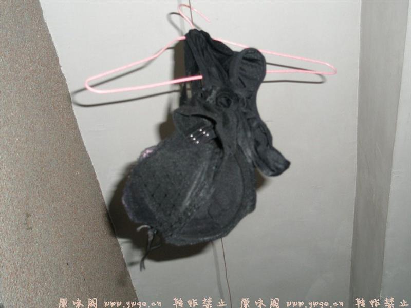 PB032290_调整大小.JPG