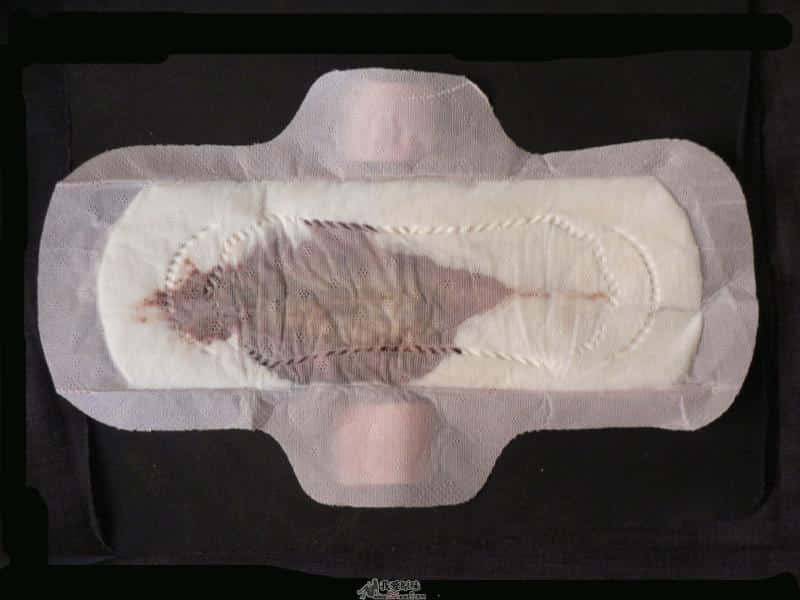 P002.JPG