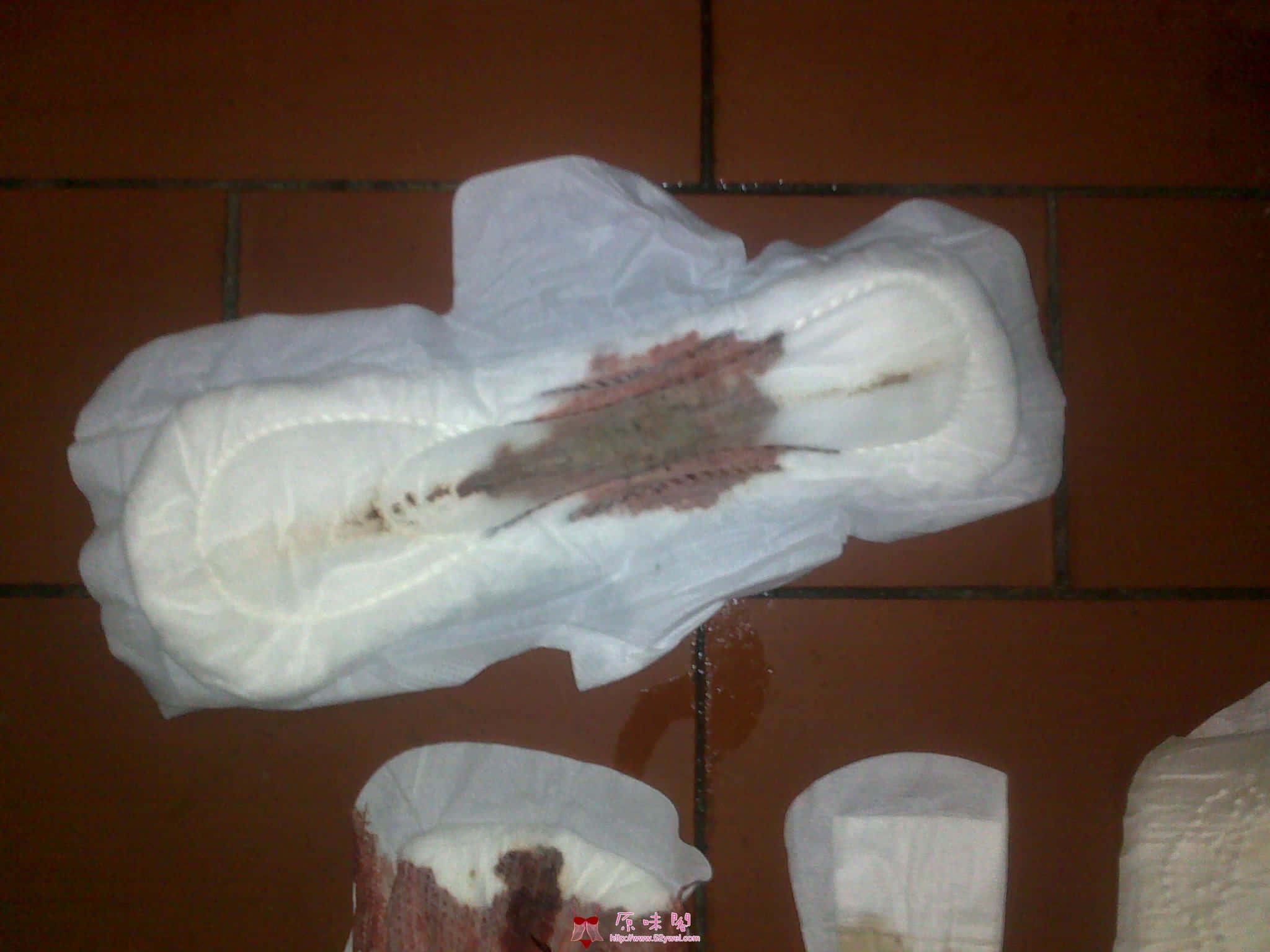 20100619263.jpg