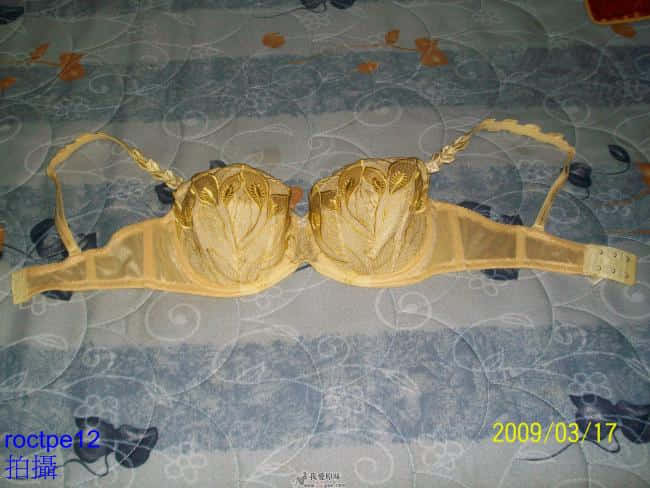 100_1210-1.jpg