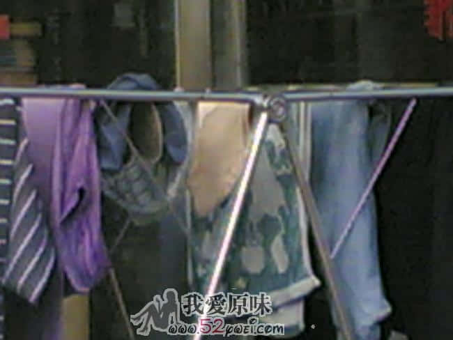 20090816(003).jpg