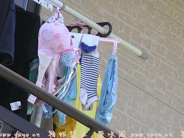 009.jpg