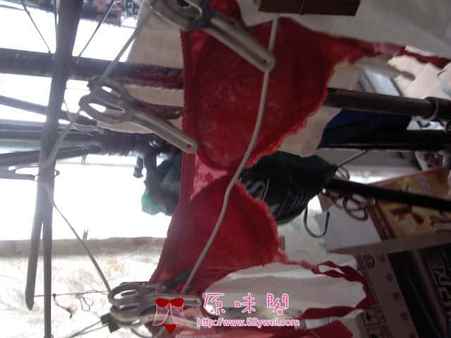 IMG_20120911_090009.jpg