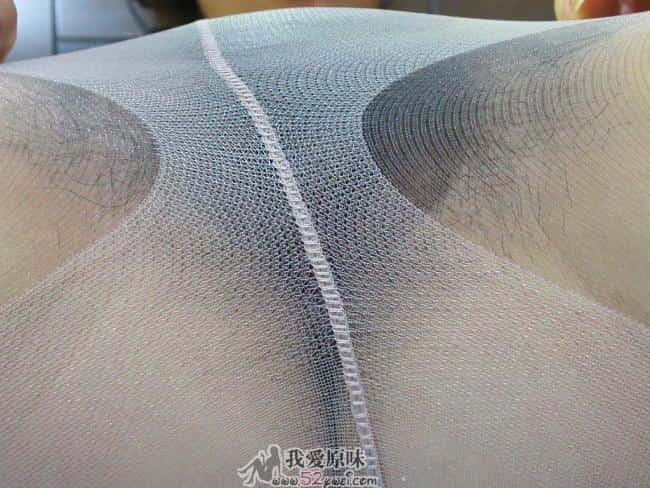 2083822.jpg