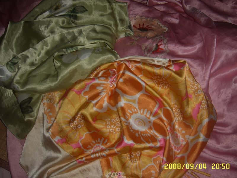 SUC55010.JPG
