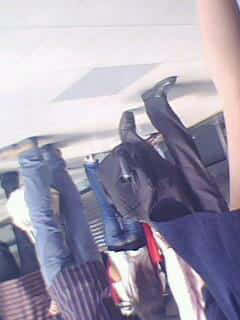 IMG0451A.jpg