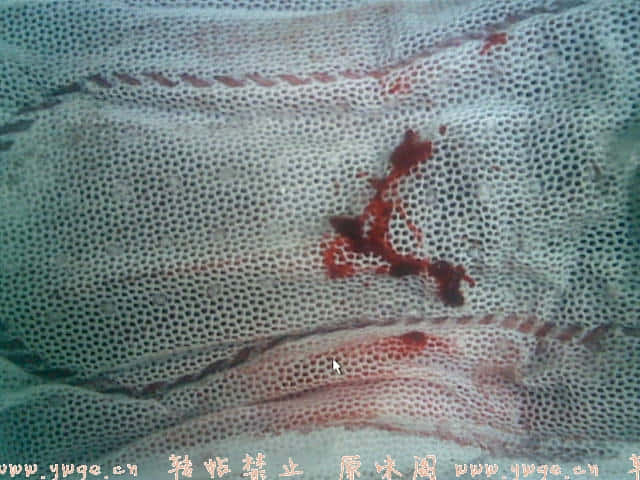 20071226(001).jpg