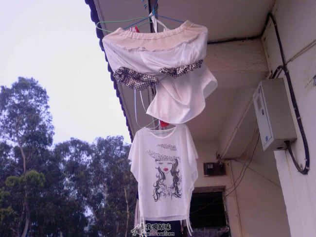 P1.jpg